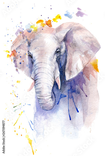Obraz na płótnie akwarela rysunek zwierzęcia - słonia w kwiatach