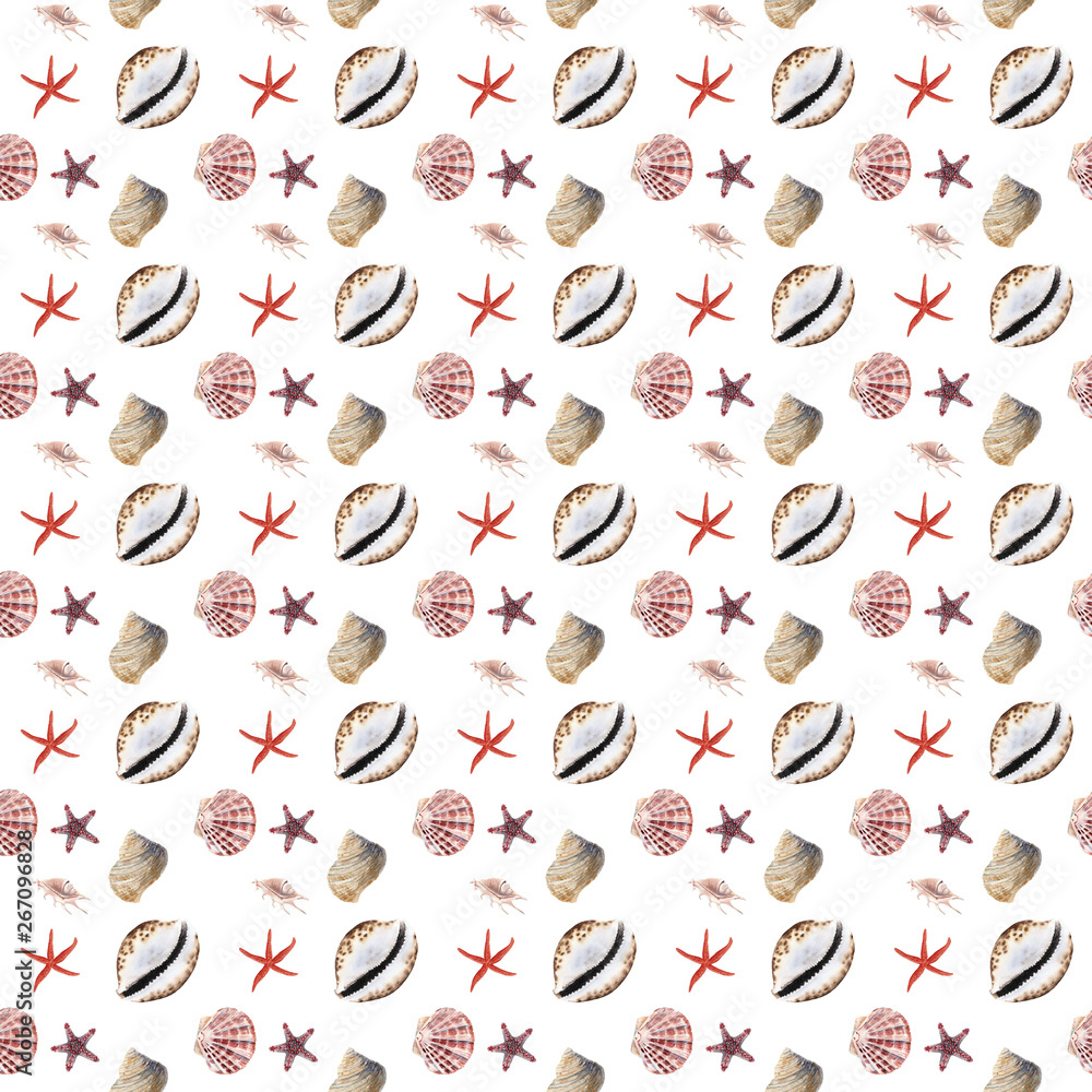 hand drawn colorfull watercolor seashells and clams seamless pattern on white background