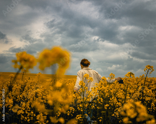 Walk in a yellow field