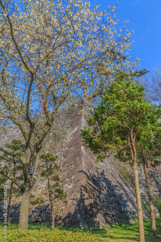 春の盛岡城の風景