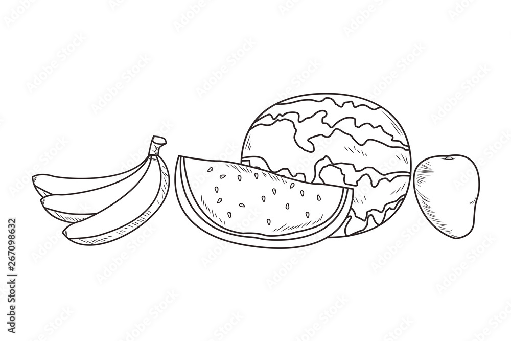 Fresh fruit nutrition healthy black and white hand drawn Fresh fruit nutrition healthy black and white hand drawn