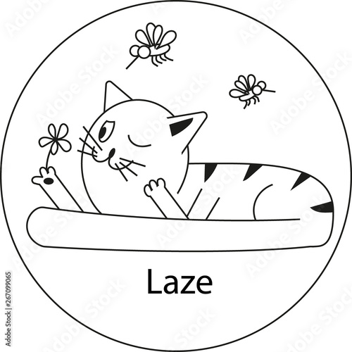 Laze cat