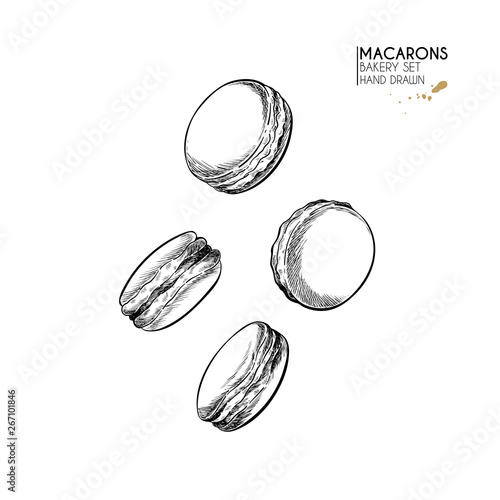Bakery set. Hand drawn isolated macaron cookies. Traditional sweet french bakery. Vector engraved icon. For restaurant and cafe menu, baker shop, bread, pasty, sweets. Design template.