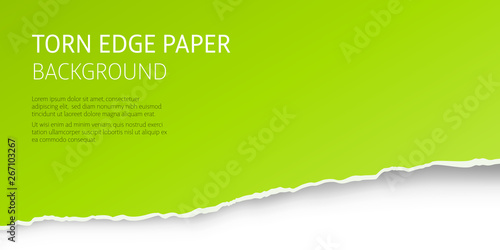 Torn edge paper green background. Page or card vector template.