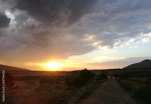 Safari sunset