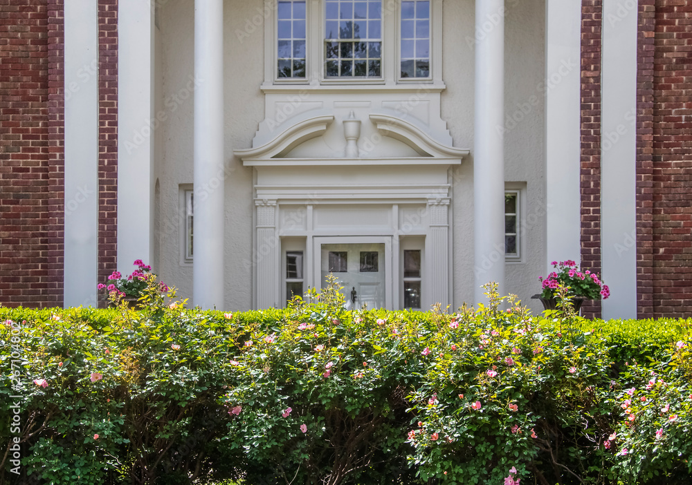 Elegance - Rosebush hedge that needs trimmed in full sun in front of shadowed blurred ornate entrance to upscale brick and stucco home with columns and potted flowers Elegance - Rosebush hedge that needs trimmed in full sun in front of shadowed blurred ornate entrance to upscale brick and stucco home with columns and potted flowers