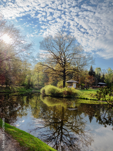 Fototapeta Naklejka Na Ścianę i Meble -  Spring landscape, by the pond.