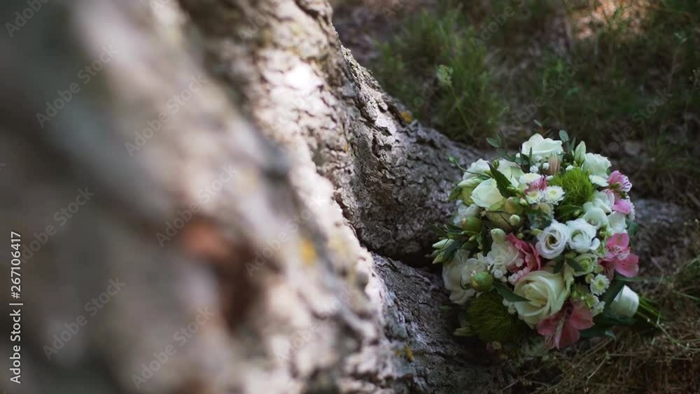Bouquet of fresh roses. wedding bouquet in the park near the tree. Slowmo Bouquet of fresh roses. wedding bouquet in the park near the tree. Slowmo