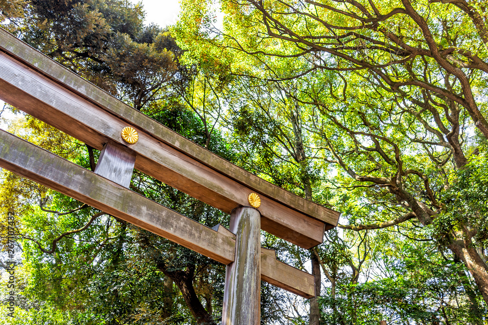Meiji shrine wooden gate entrance closeup in Tokyo with green tree foliage during early spring and nobody
