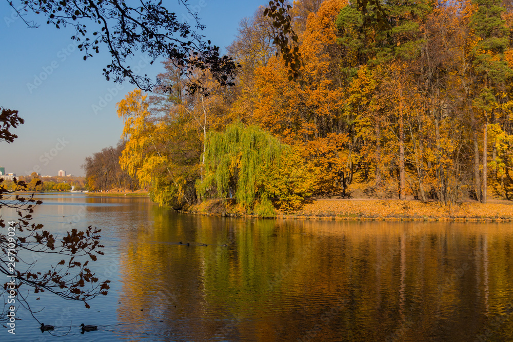 Obraz premium Scenic view to the autumn park and pond