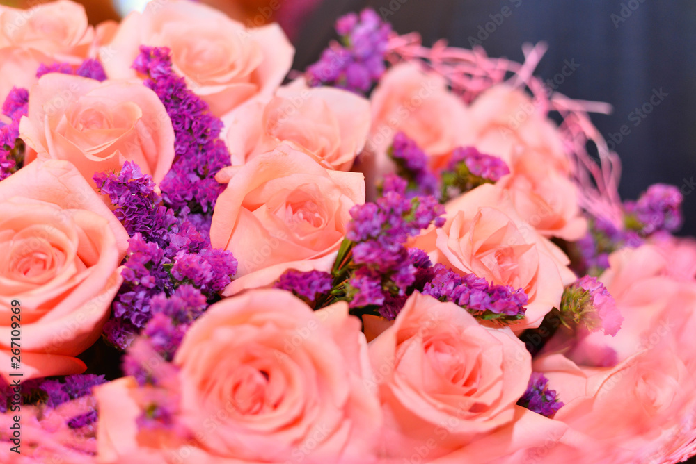 natural background of fresh roses soft focus natural background of fresh roses soft focus