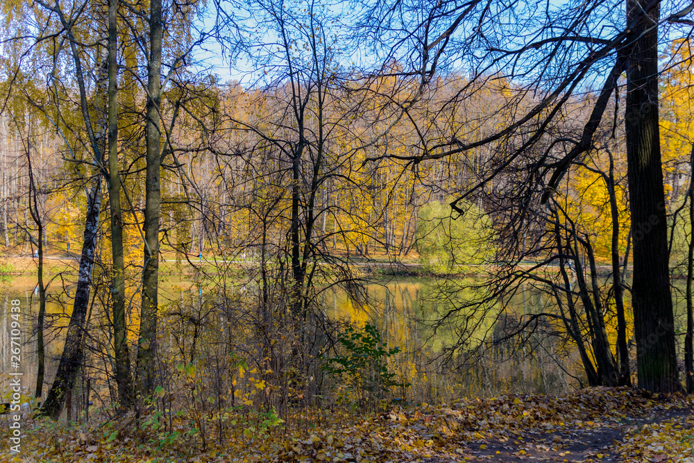 Scenic view to the autumn park and pond, golden autumn