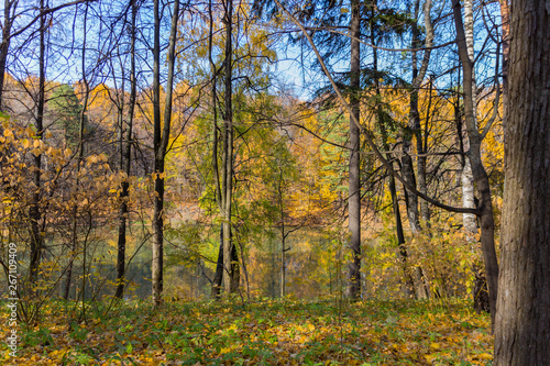Scenic view to the autumn park, golden autumn © topolov_nick
