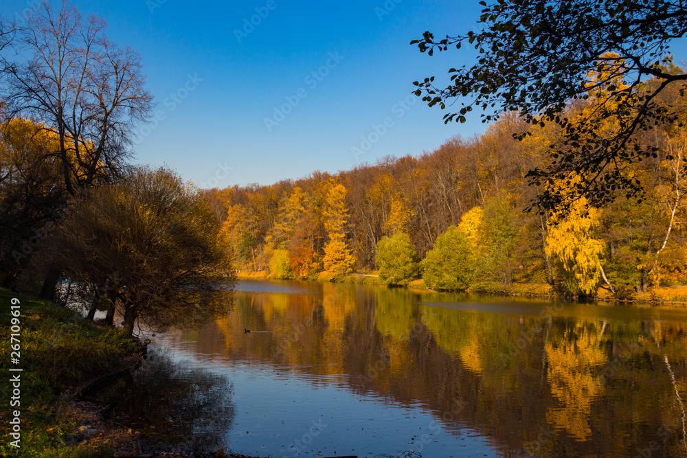 Scenic view to the autumn park and pond