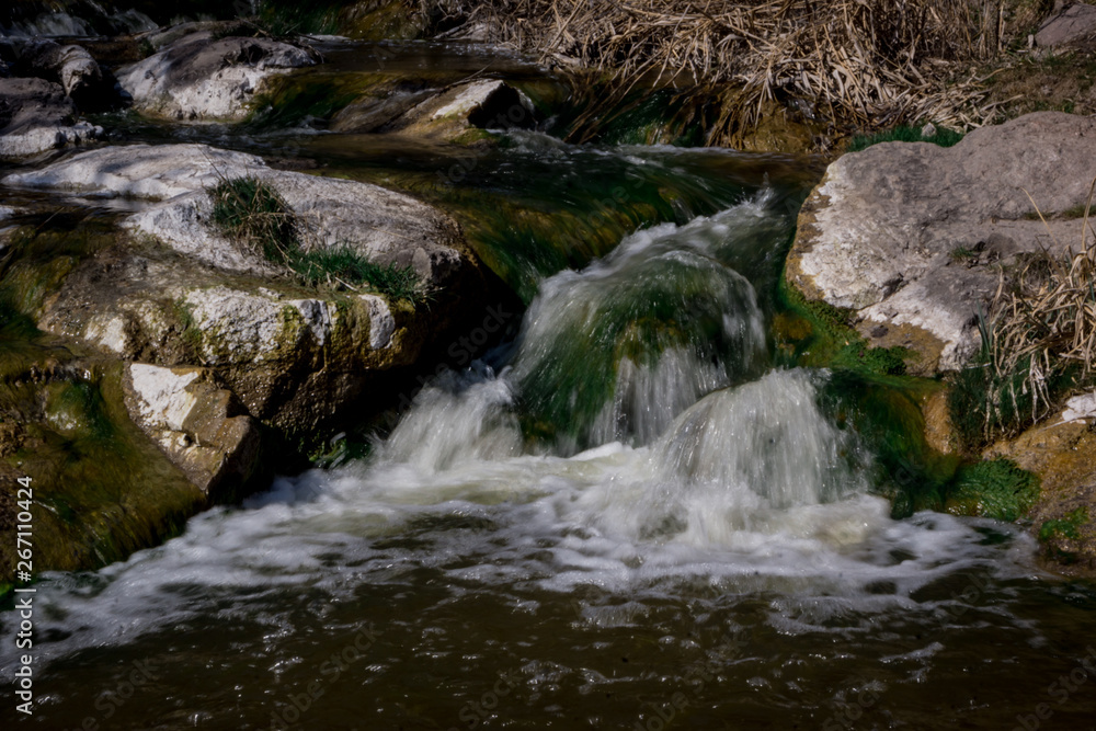 Fototapeta premium waterfall in the forest
