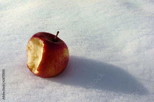 The snowhite apple photo