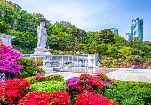 Obraz na płótnie bongeunsa temple in spring at seoul city south korea w salonie