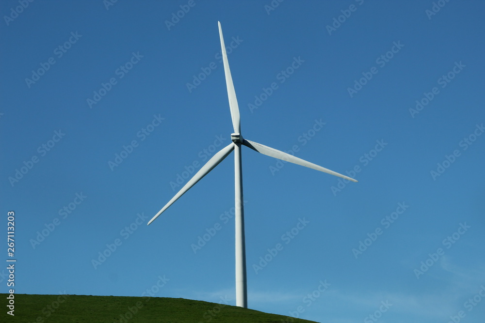 Wind Turbine Oscillates in Field