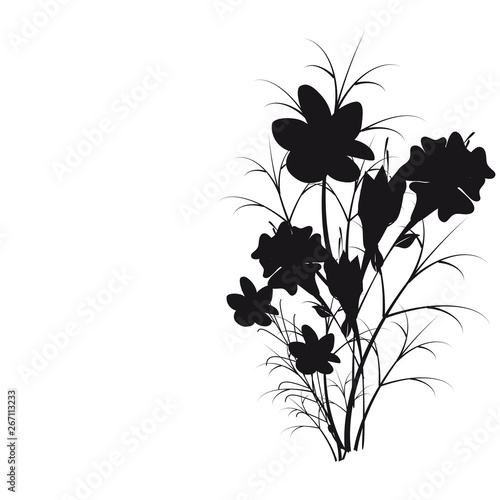 beautiful flowers