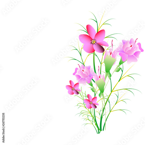 beautiful flowers