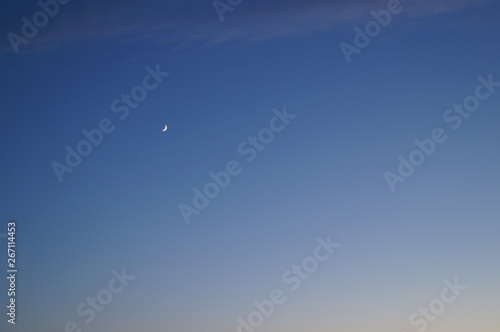 Crescent in the dark blue evening sky
