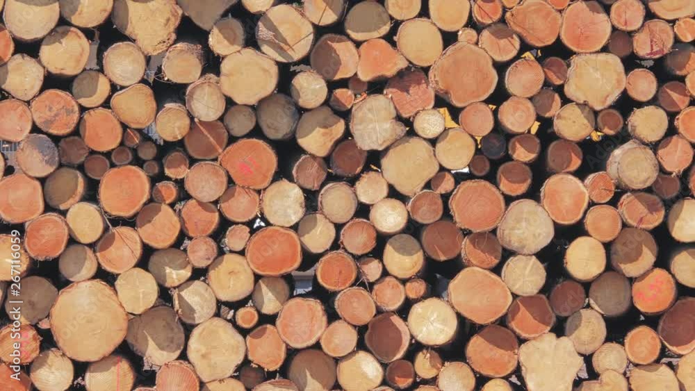 Firewood stacked background. Firewood stacked and prepared for winter Firewood stacked background. Firewood stacked and prepared for winter