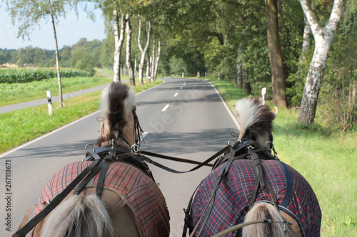 Zwei Pferde ziehen eine Kutsche im Sommer über eine Landstraße. photo