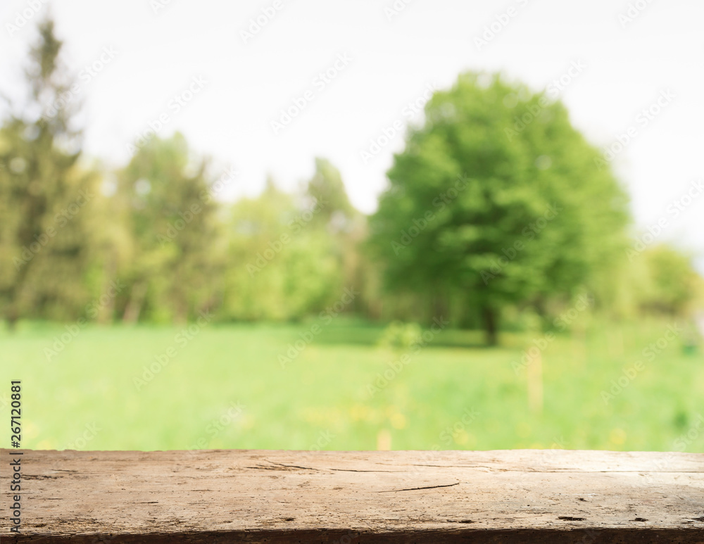 wooden floor beside green rice field at agriculture farm in the morning sunrise. wooden floor beside green rice field at agriculture farm in the morning sunrise.