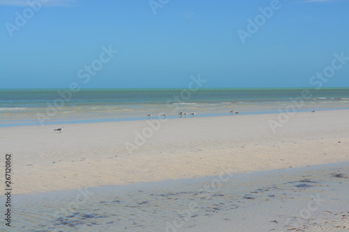 Preciosa playa de Holbox. México.