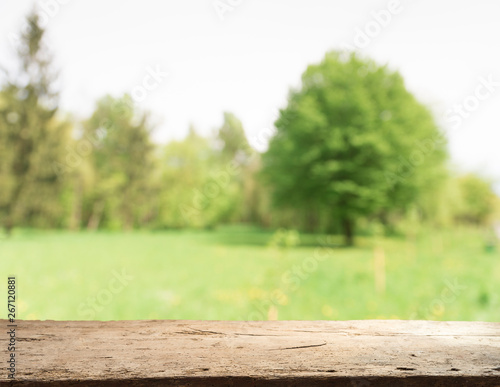 wooden floor beside green rice field at agriculture farm in the morning sunrise.