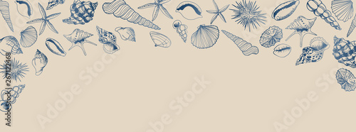 Vector seashell banner