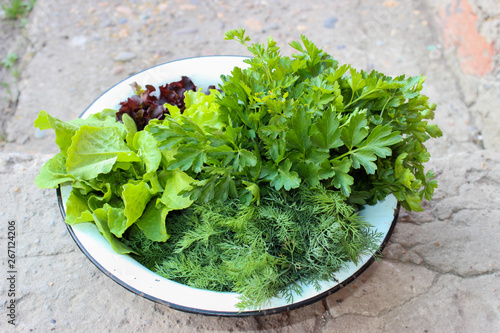 Green salad, dill and parsley in a white metal bowl, on a concrete surface. Salad Burgundy, green, purple, light green. Fresh herbs, just from the garden. It's spring. Krasnodar region.
