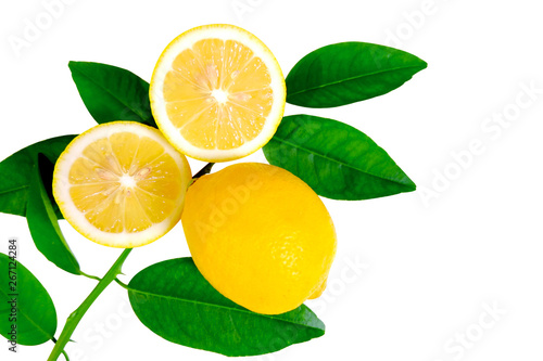 Lemon and leave set on white background