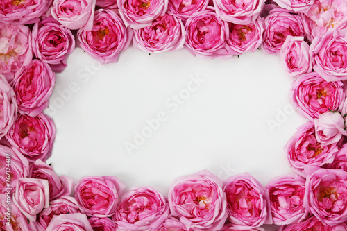 Rose tea roses lined with a frame on a white background, copy space