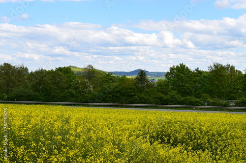 Eifellandschaft im Frühlin photo