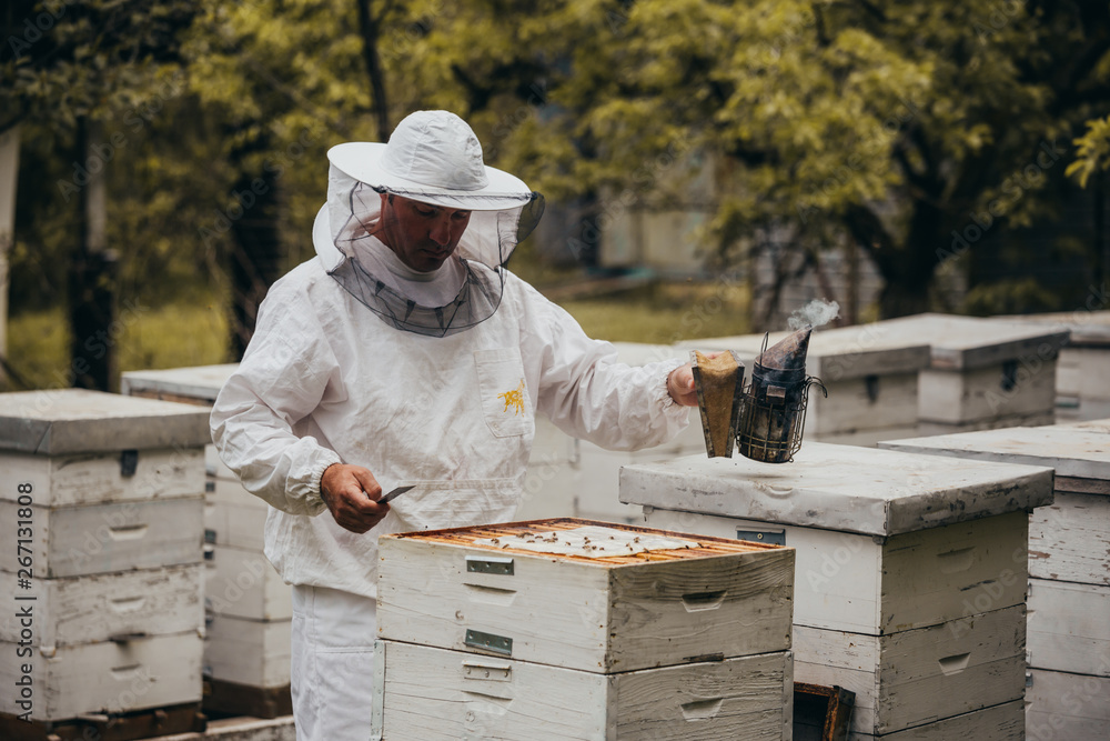 worker in protective wear working in apiary worker in protective wear working in apiary