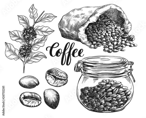Sketch ink graphic coffee set illustration, draft silhouette drawing, black on white line art. Vintage etching food design.
