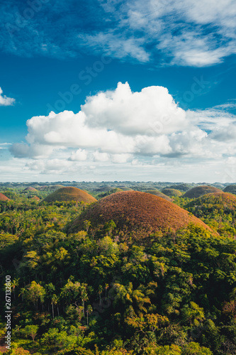 Chocolate Hills in the Bohol island in the Philippines, covered in brown grass. Famous touristic place
