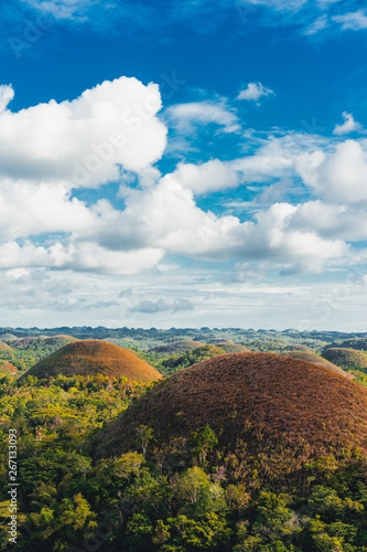 Chocolate Hills in the Bohol island in the Philippines, covered in brown grass. Famous touristic place