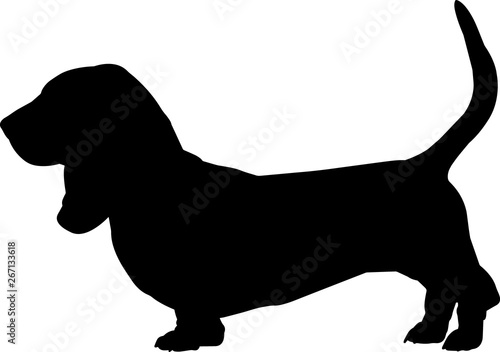 Basset Hound 1 isolated vector silhouette
