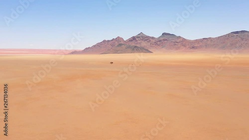 Aerial of a single lonely tree sitting in the middle of the Namib desert, Namibia. photo