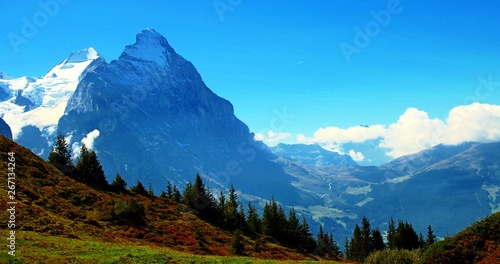 Berge in Grindelwald