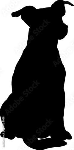 Jack Russell Terrier 1 isolated vector silhouette