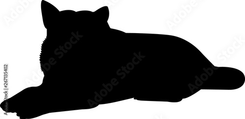 Norwegian Elkhound 7 isolated vector silhouette