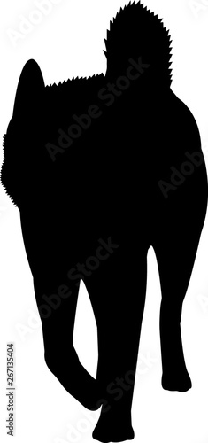 Norwegian Elkhound 8 isolated vector silhouette