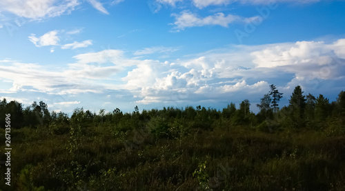  Summer landscape. Field, forest, mountains, sky, clouds. Lake Baikal. © Vero