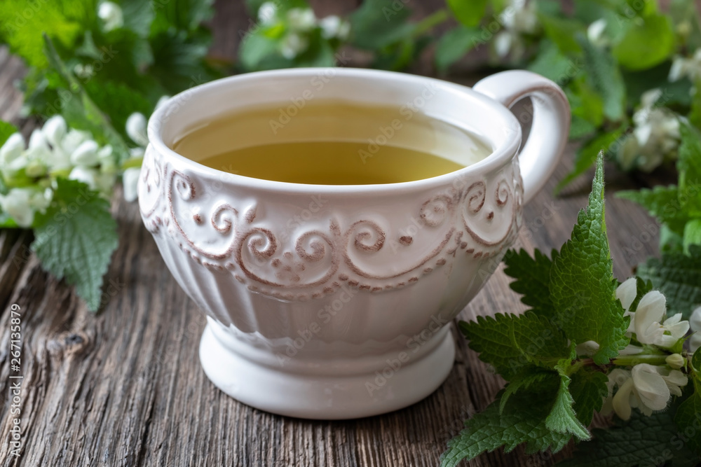 A cup of white dead-nettle tea with fresh dead-nettles A cup of white dead-nettle tea with fresh dead-nettles