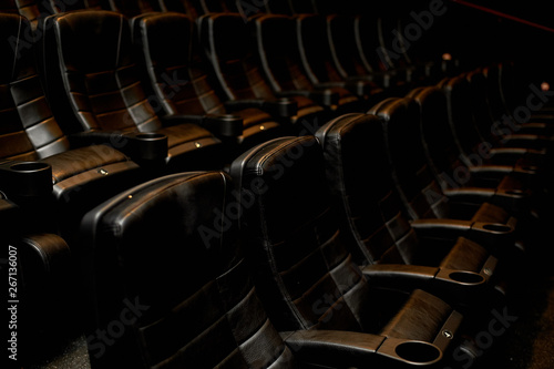A cinema hall or a hall for holding events. A number of comfortable leather chairs. Many
