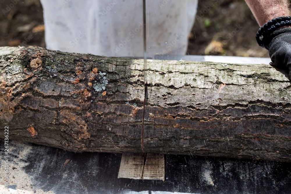 Man cutting and sawing a log in his back yard Man cutting and sawing a log in his back yard