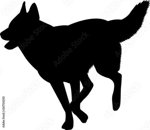 Siberian Husky 5 isolated vector silhouette